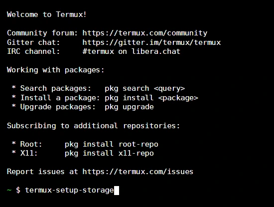 Running termux-setup-storage command