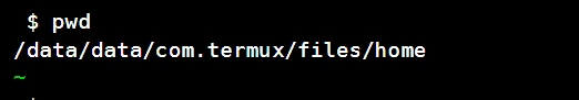Termux pwd command output